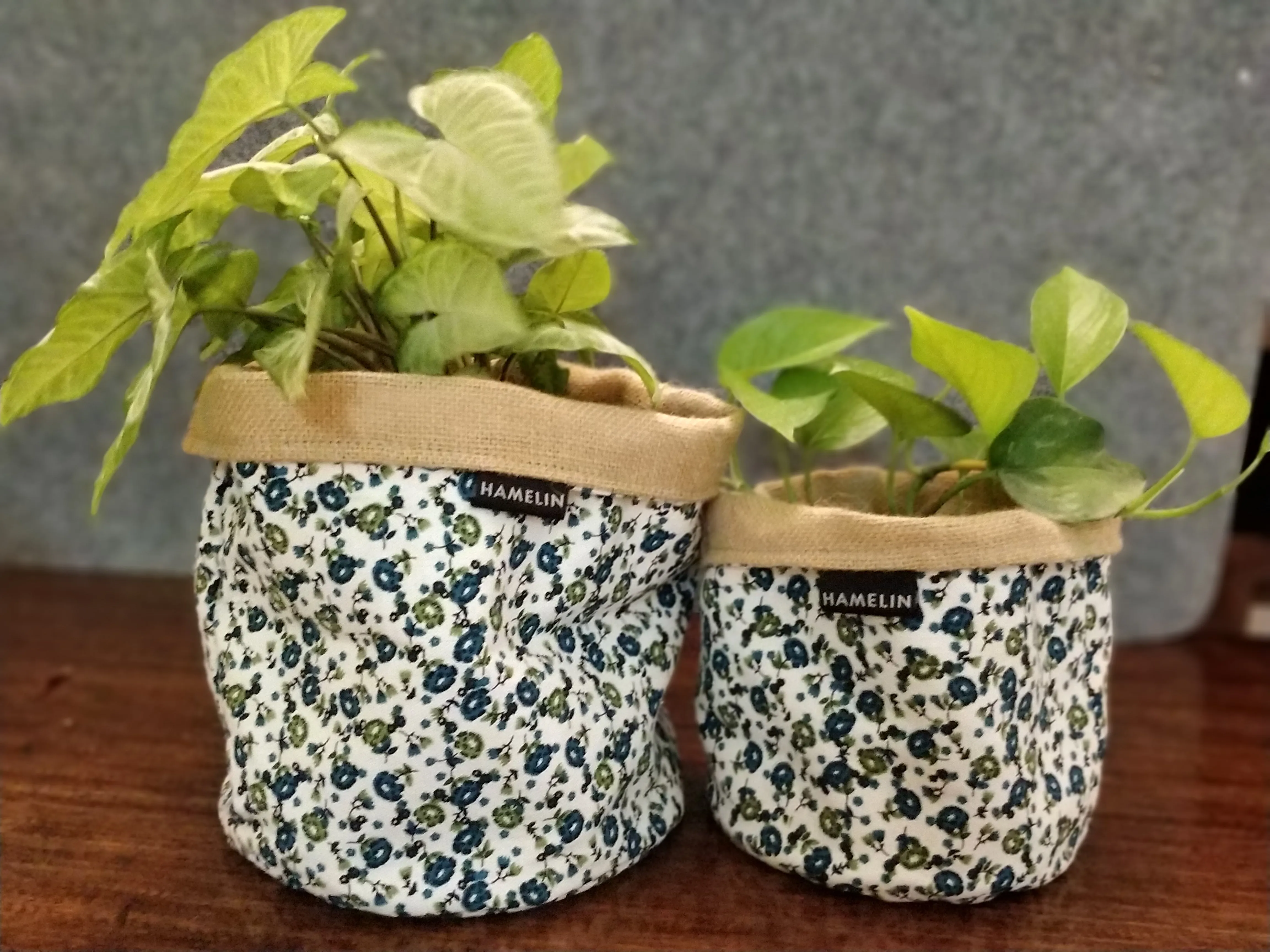 Chic Planter Wrap  (Meadow)