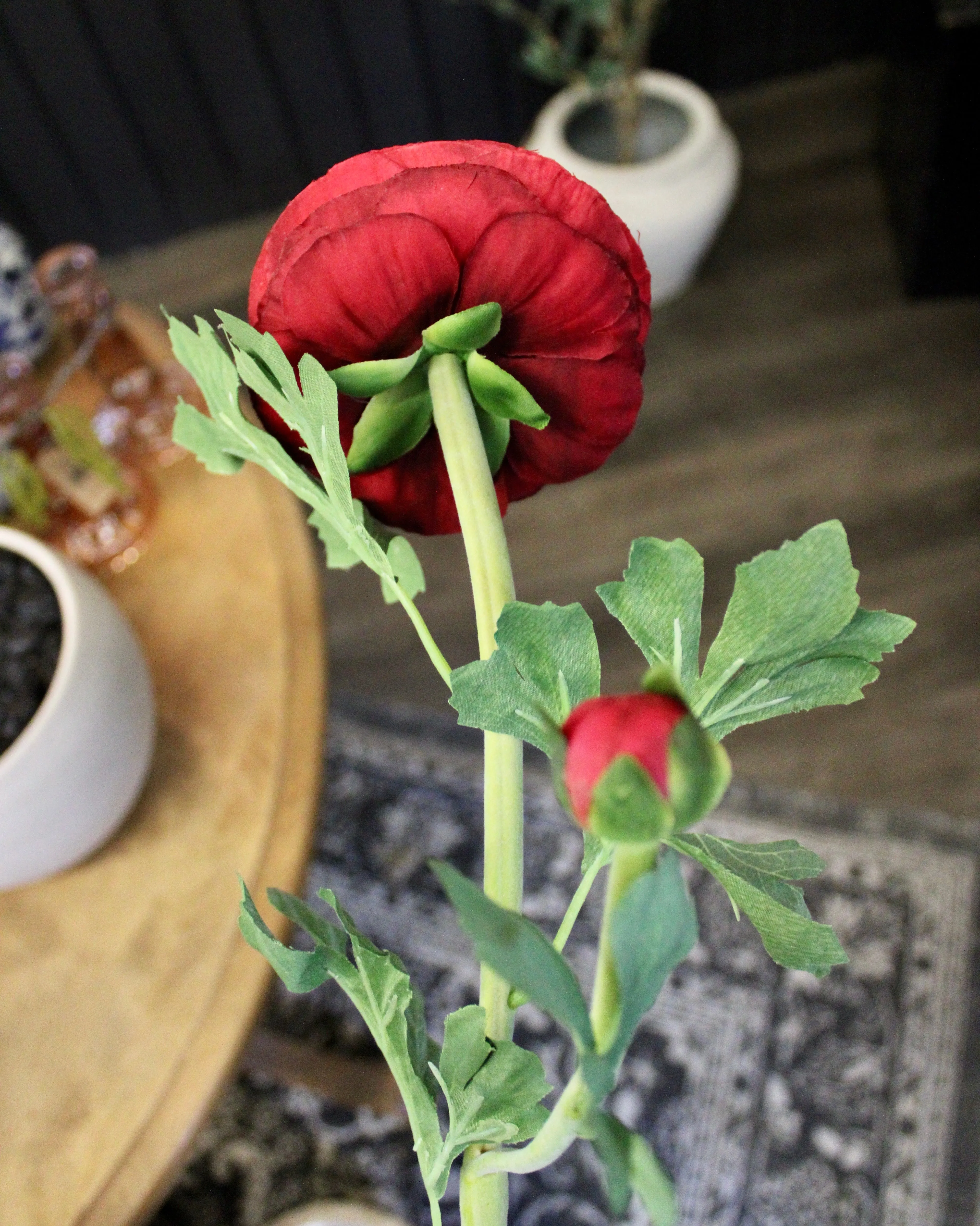 Deep Red Ranunculus Stem