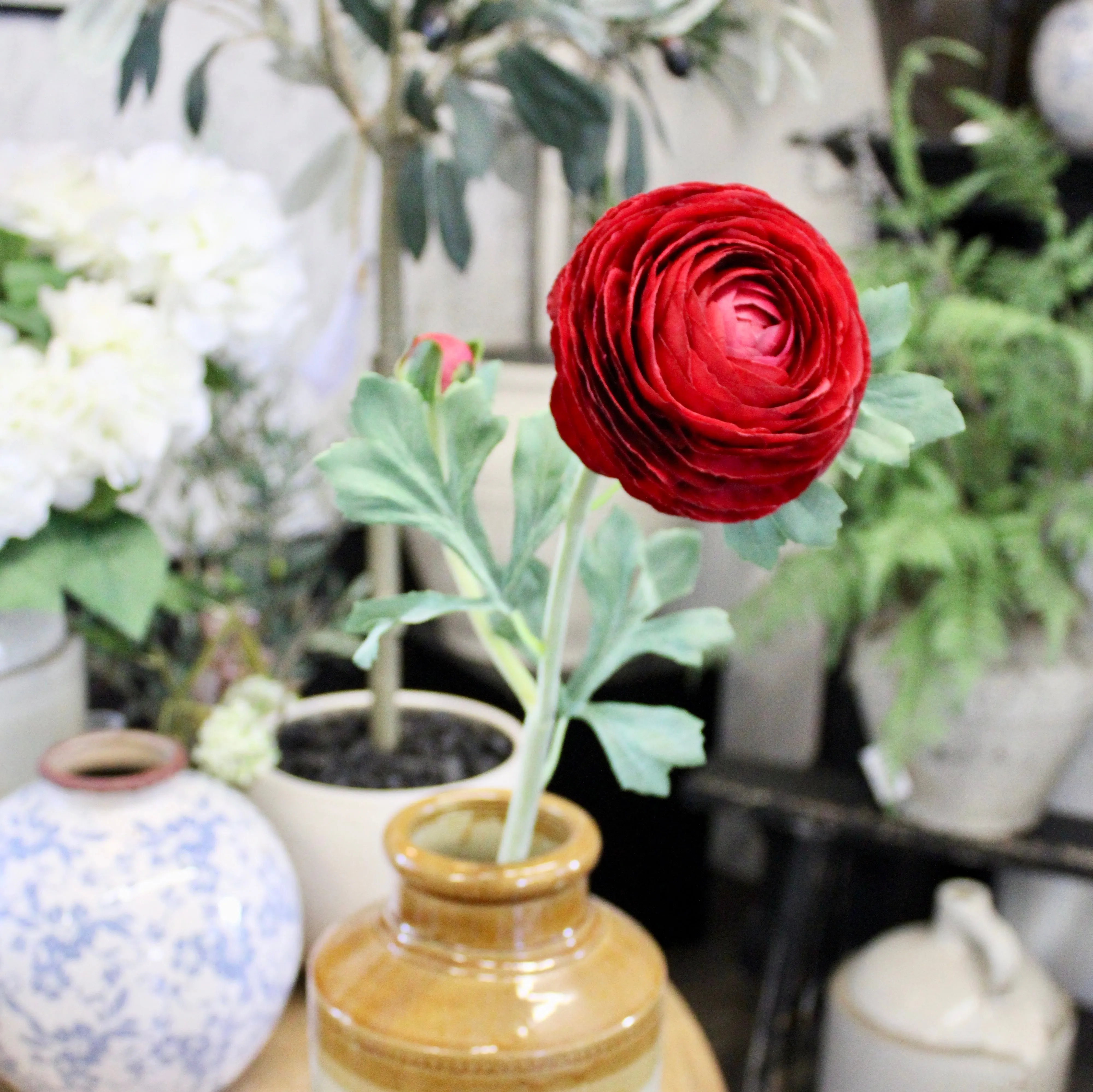 Deep Red Ranunculus Stem