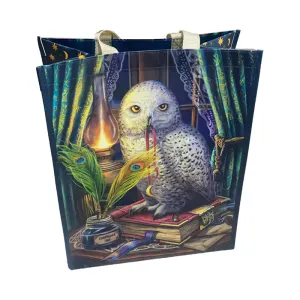 Durable Reusable Shopping Bag - Lisa Parker Guardian of Spells Owl NWBAG93