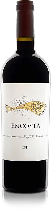 Encosta Cabernet Sauvignon by Gandona