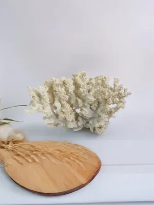 Faux Resin Large Cream Flat Coral Ornament