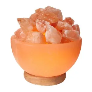 Himalayan Glow Ionic Pink Salt Hand Carved Crystal Bowl Lamp