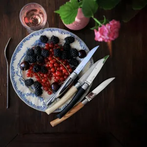 Table Chic Steak Knives