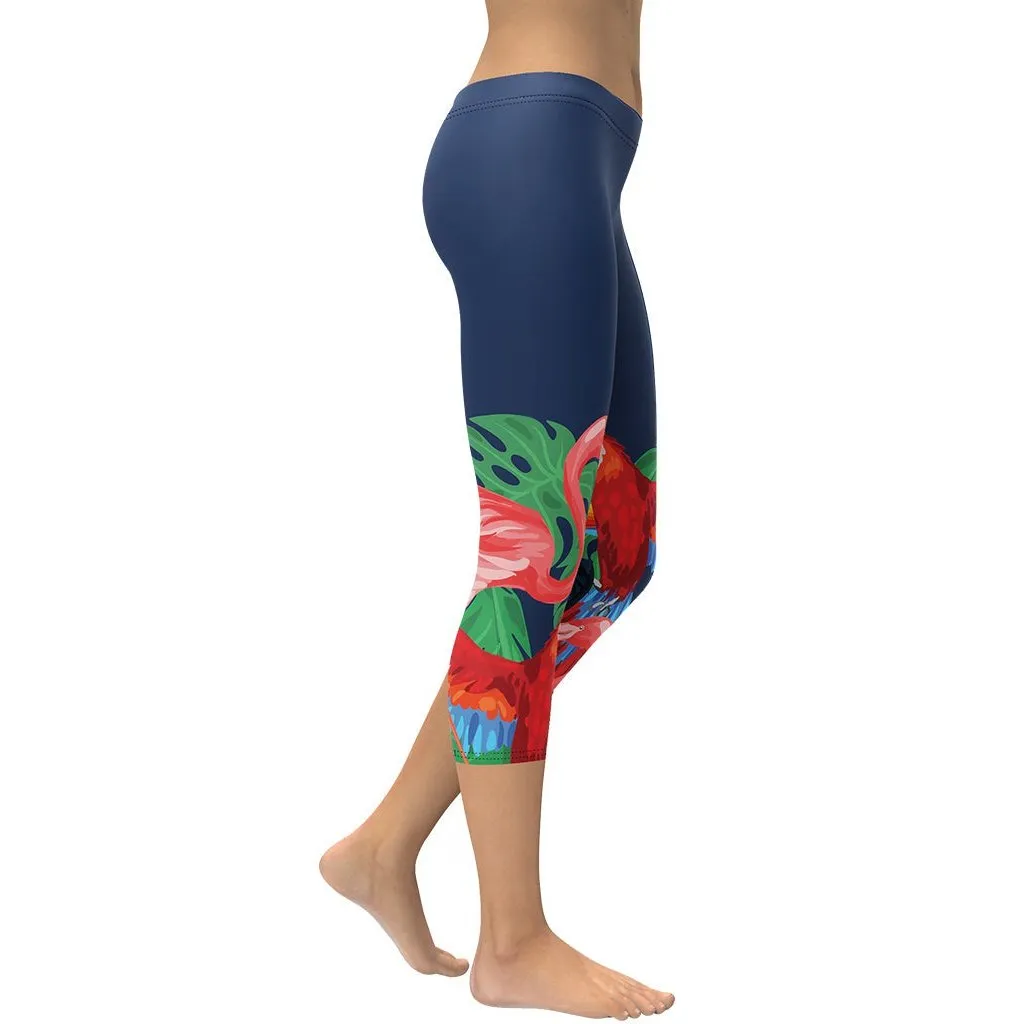 Tropical Birds Capris