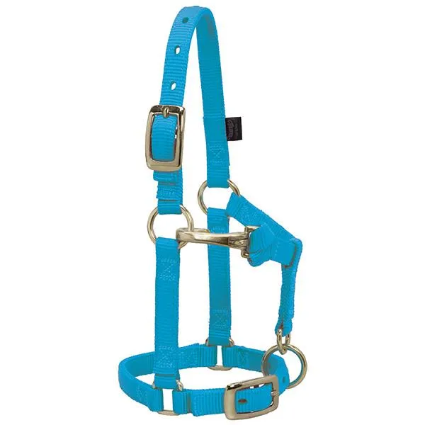 Weaver Large Miniature Horse Adjustable 5/8" Nylon Halter