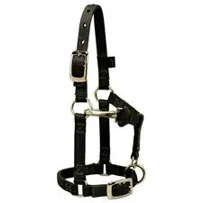 Weaver Large Miniature Horse Adjustable 5/8" Nylon Halter