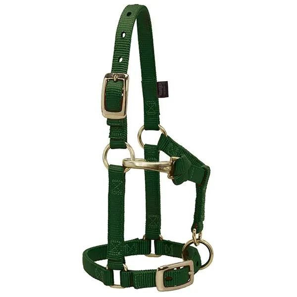 Weaver Large Miniature Horse Adjustable 5/8" Nylon Halter