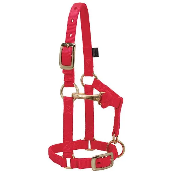 Weaver Large Miniature Horse Adjustable 5/8" Nylon Halter